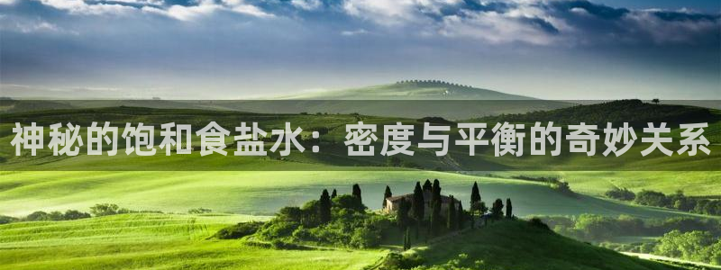 威九国际精忐