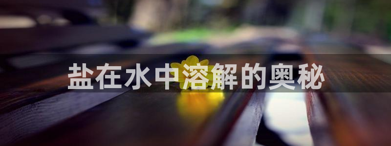 威九国际可以赚到钱