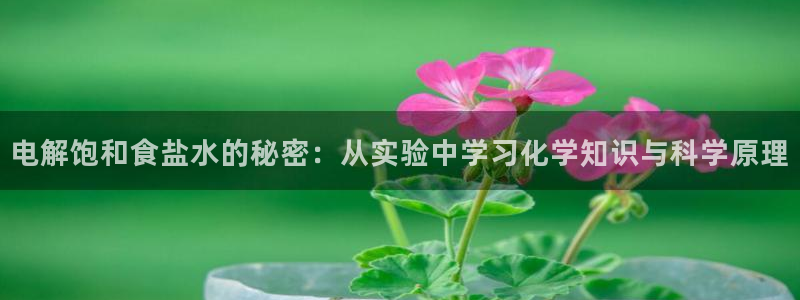 威九国际动漫