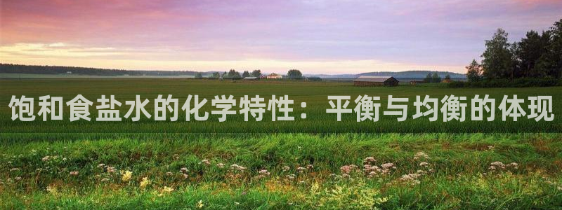 保定威九网络科技有限公司电话：饱和食盐水的化学特性：平衡与均