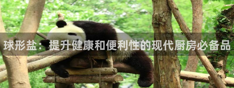 威九国际游戏网站