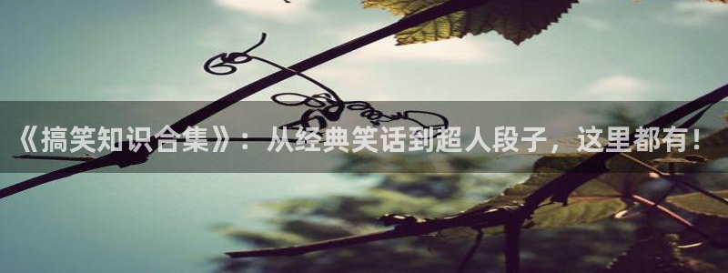 七猫小说网页版：《搞笑知识合集》：从经典笑话到超人段子，这里都有！
