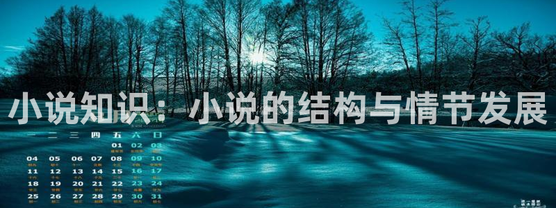 七猫小说网页版入口免费阅读：小说知识：小说的结构与情节发展
