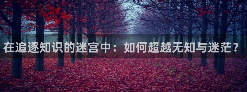 七猫小说app下载：在追逐知识的迷宫中：如何超越无知与迷茫？