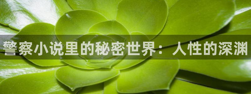 七猫官网：警察小说里的秘密世界：人性的深渊